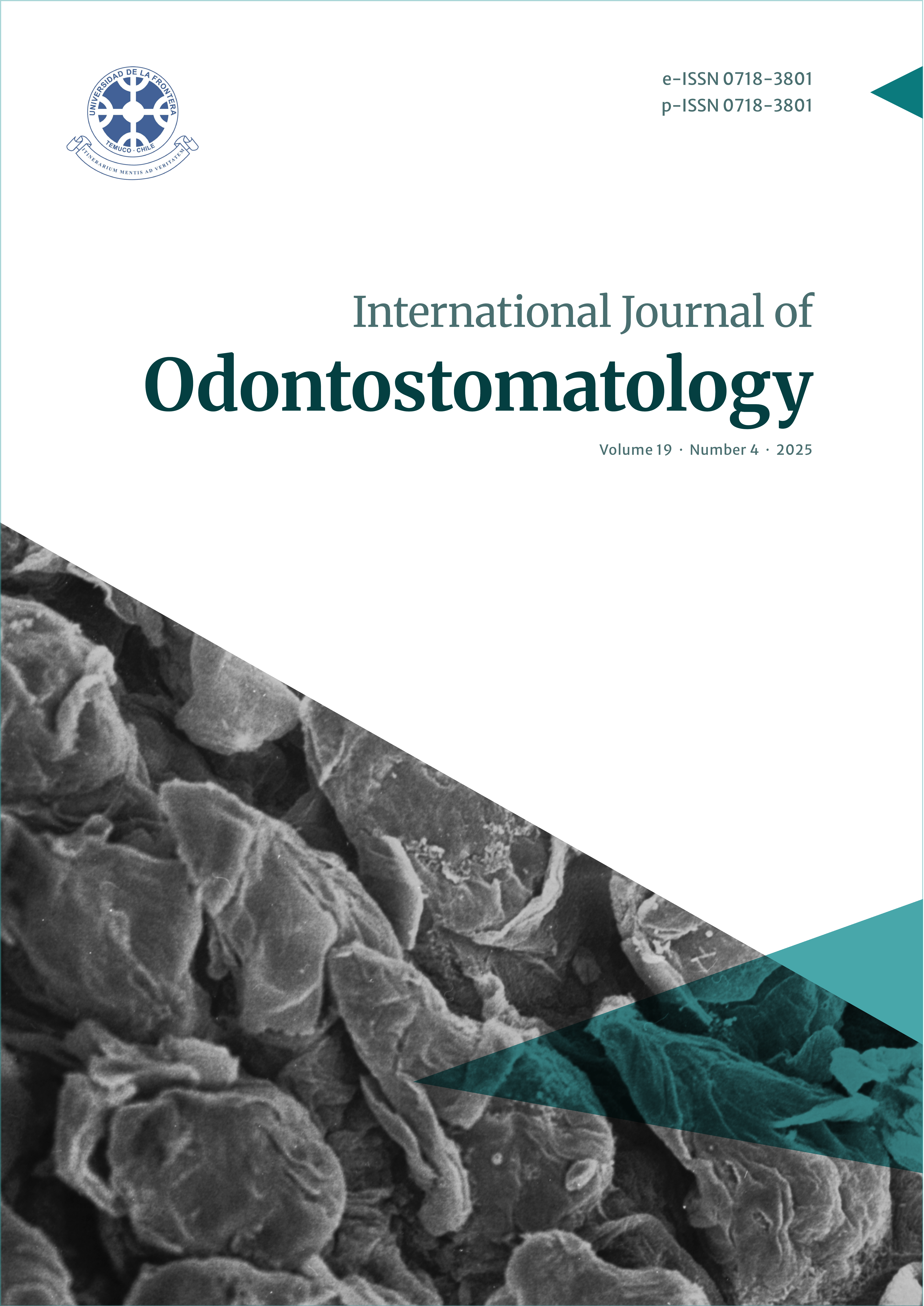 Ver Vol. 19 Núm. 4 (2025)